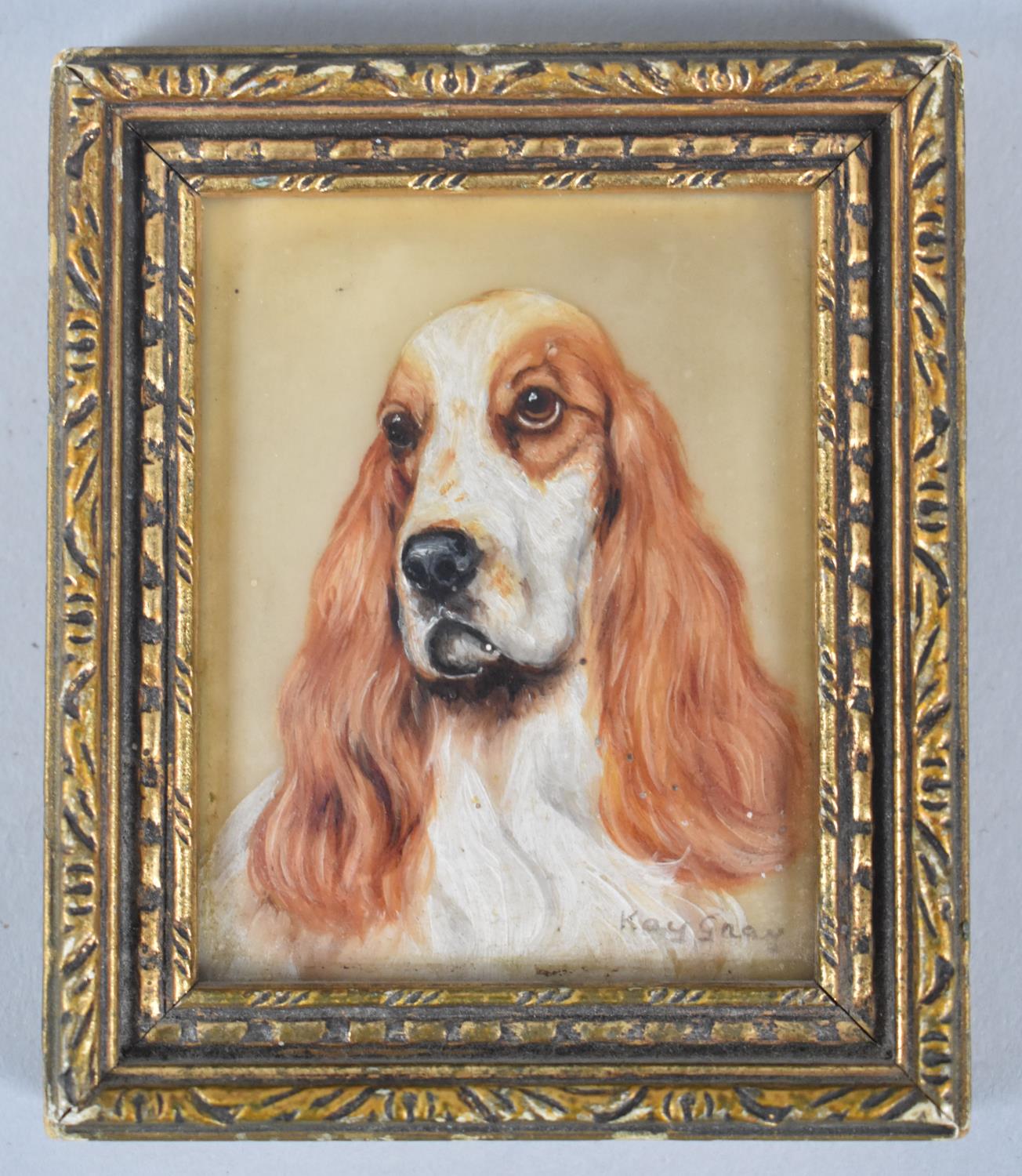 A Framed Miniature Oil Painting of a Spaniel by Kay Gray, 7x9cms