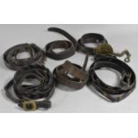 A Collection of Victorian and Later Leather Harness Reins, most with Brass Mounts