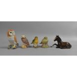 A Collection of Various Bird Ornaments to comprise Example by Beswick and Aynsley together with a