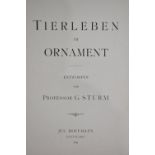 A Late 19th Century Folio of Animal Prints, "Tierleben Im Ornament" by Professor G Sturm Published