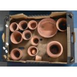 A Small Collection of Terracotta Plant Pots