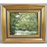 A Framed Oil on Board, Wooded River Scene, 24x19cm
