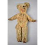 Plush Teddy Bear, Playworn, 39cms Long