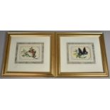 A Pair of Gilt Framed Paintings on Silk, Detailed Studies of Butterflies, Each 15x10cms