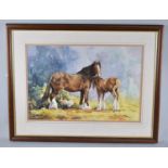 A Framed Watercolour by Simon Bull Depicting Shire Mare and Foal, 50x33cm