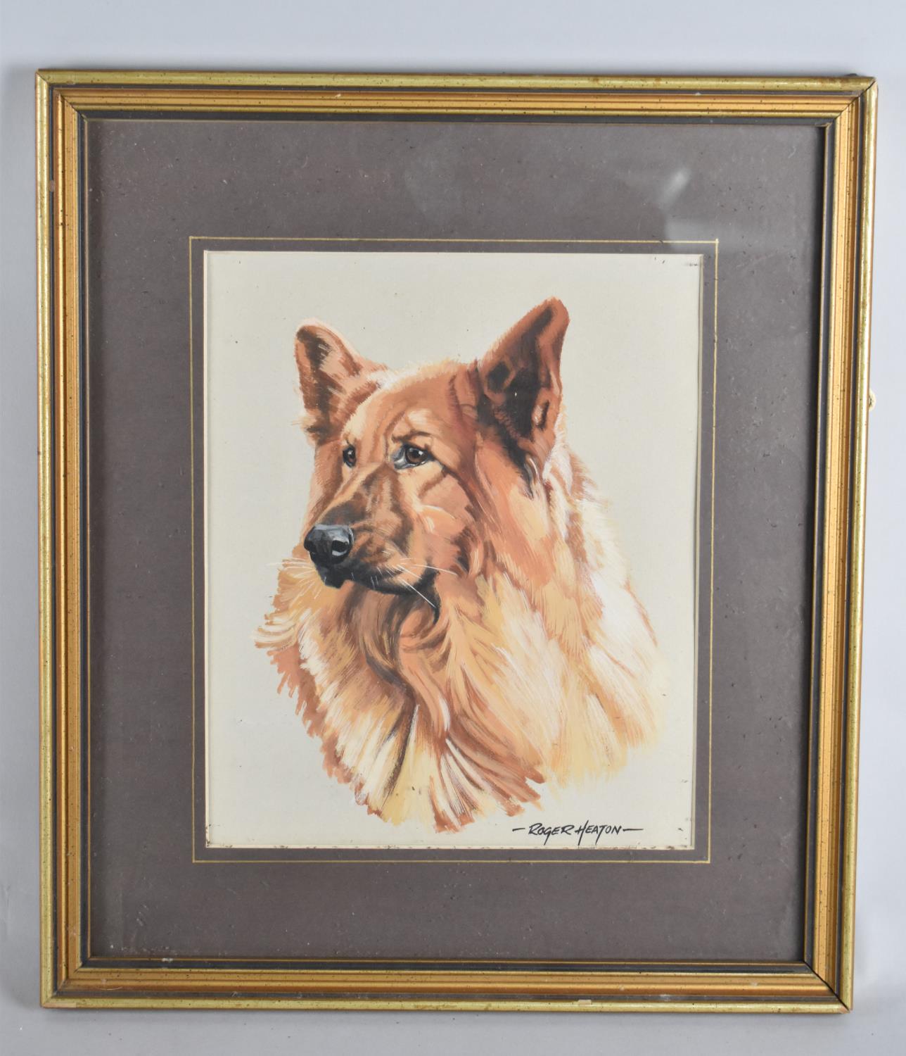 A Framed Watercolour by Roger Heaton, German Shepherd