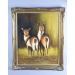 A Gilt Framed Oil on Board Depicting Two Deer, 40x50cm