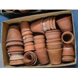 A Collection of Various Vintage and Later Terracotta Plant Pots