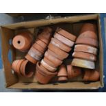 A Collection of Various Vintage and Later Terracotta Plant Pots