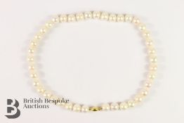 Freshwater Pearl Necklace