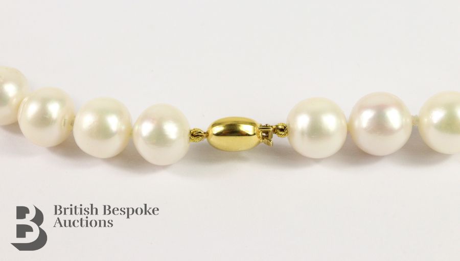 Freshwater Pearl Necklace - Image 2 of 4