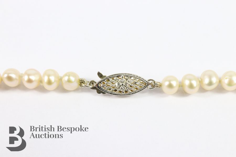 Natural Freshwater Pearl Necklace and Bracelet - Image 5 of 6