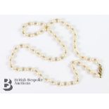 9ct Gold and Cultured Pearl Necklace