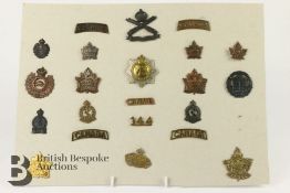 Carded Display of Canadian Military Insignia