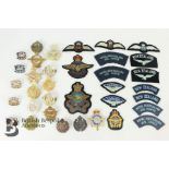 Collection of Metal and Cloth Colonial Airforce Insignia
