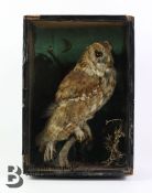 Taxidermy Owl