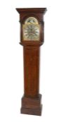 19th Century Long Case Clock