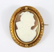 14ct Shell Cameo Brooch