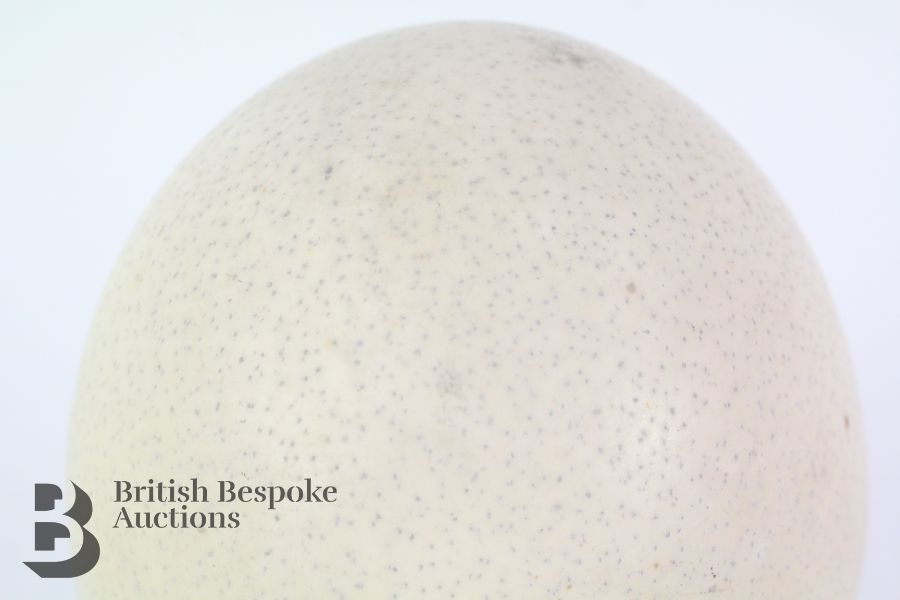Ostrich Egg on Stand - Image 3 of 4