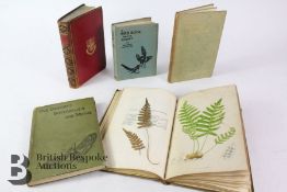 The Ferns of Great Britain, Nests and Eggs of Familiar Birds, Our Country's Butterflies and Months