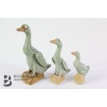 Three Graduated Celadon Runner Ducks