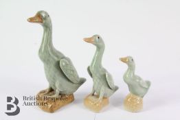 Three Graduated Celadon Runner Ducks