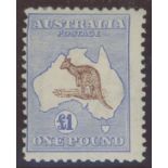 1913 £1 brown & ultramarine Kangaroo Mint, centred top left, fine.