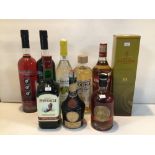 NINE MIXED VINTAGE BOTTLES OF SPIRITS, INCLUDING BRANDY, VODKA, AND MORE.