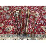 LARGE COLLECTION OF WALKING STICKS, SOME WITH SILVER COLLARS