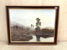 COULSON OIL ON BOARD FOREST SCENC FRAMED, 85 X 67CM