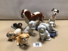 EIGHT VARIOUS CHINA DOGS INCLUDING BESWICK SPANIEL AND ROYAL DOULTON DALMATIAN.