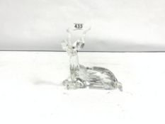 A SWAROVSKI CRYSTAL GLASS DEER