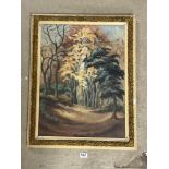 AN OIL ON CANVAS BOARD OF WOODLAND SCENE WITH MONOGRAM GC, 44 X 60CMS
