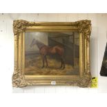 A GILT FRAMED OIL ON CANVAS STUDY OF A HORSE IN A STABLE SIGNED L CLODE, 40 X 50CMS