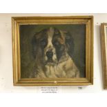 A 19TH CENTURY OIL ON CANVAS OF A ST BERNARD DOG IN A GILT FRAME WITH THREE REPAIRS TO CANVAS, 55