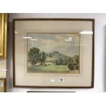 A WATERCOLOUR DRAWING OF CHANCTONBURY WITH SHEEP GRAZING SIGNED BY C. W TAYLOR, 38 X 29CMS