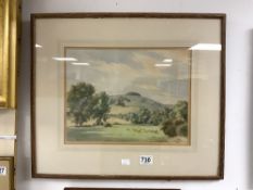 A WATERCOLOUR DRAWING OF CHANCTONBURY WITH SHEEP GRAZING SIGNED BY C. W TAYLOR, 38 X 29CMS