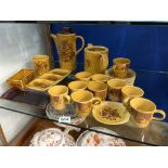 A PALISSY - TAURUS PATTERN AND SIERRA PATTERN TEA AND COFFEE WARE 28 PIECES, AND TWO PALISSY DISHES