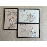 THREE FRAMED SILK PICTURES OF EXOTIC BIRDS, 49 X 31CMS