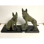 A 20TH CENTURY BRONZE ALSATIAN GROUP ON MARBLE BASE SIGNED L CARVIN TO BASE, 40 X 66CMS