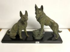 A 20TH CENTURY BRONZE ALSATIAN GROUP ON MARBLE BASE SIGNED L CARVIN TO BASE, 40 X 66CMS