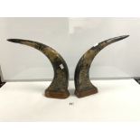 A PAIR OF ORIENTAL ANIMAL HORNS WITH CARVED BIRD AND TIGER DECORATION, 36CMS