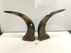 A PAIR OF ORIENTAL ANIMAL HORNS WITH CARVED BIRD AND TIGER DECORATION, 36CMS