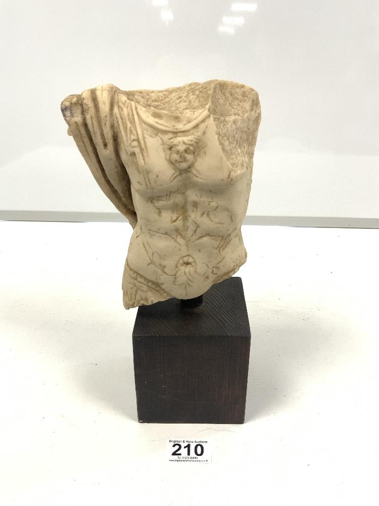 A RESIN SCULPTURE OF A ROMAN TORSO IN A WOODEN BASE, 29CMS