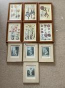 A SET OF SIX COLOURED BOTANICAL PRINTS, 20 X 32CMS, AND A SET OF FOUR CRIES OF LONDON PRINTS