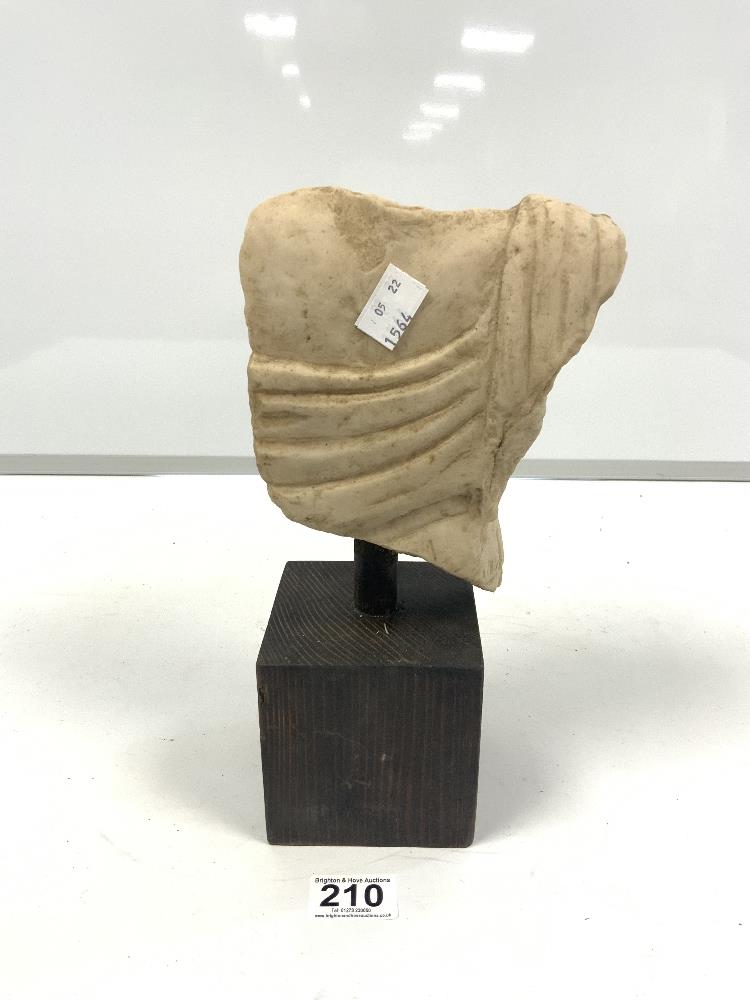 A RESIN SCULPTURE OF A ROMAN TORSO IN A WOODEN BASE, 29CMS - Image 4 of 5