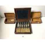 A SET OF IVORY HANDLE CUTLERY IN A MAHOGANY BOX AND TWO CARVED BOXES