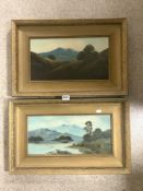 TWO FRAMED 19TH/20TH CENTURY OILS ON BOARD COUNTRY SCENES ONE MONOGRAMMED, 65 X 40CMS