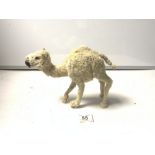 A VICTORIAN TAXIDERMY CAMEL TOY, MADE IN GERMANY AS SOUVENIER, 26 X 21CMS