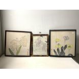 A PAIR OF ORIENTAL WATERCOLOUR OF FLOWERS SIGNED, 33 X 33CMS, AND A ORIENTAL PRINT